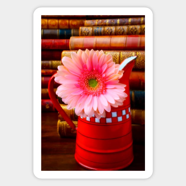 Pink Daisy In Red French Pitcher Sticker by photogarry